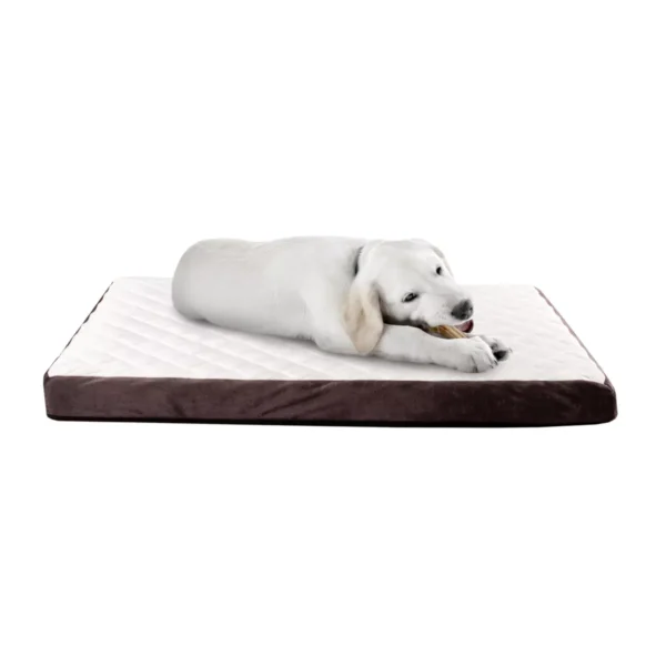 Charcoal Infused Foam Pet Bed with Plush Cover - Egg-Crate Style Floor Mat with Nonslip Base for Dogs up to 65lbs
